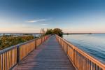 one of Collingwood's beautiful waterside boardwalks with a golden glow from low sunset hour lighting.