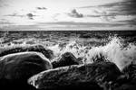 a georgian bay nature abstract in black and white