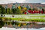 farm fields with a horse in autumn and ski runs in the background, a clearview ontario viewpoint