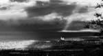 a black and white image from Blue Mountain toward Collingwood with a beam of sunlight seemingly illuminating the Terminals, a local landmark.